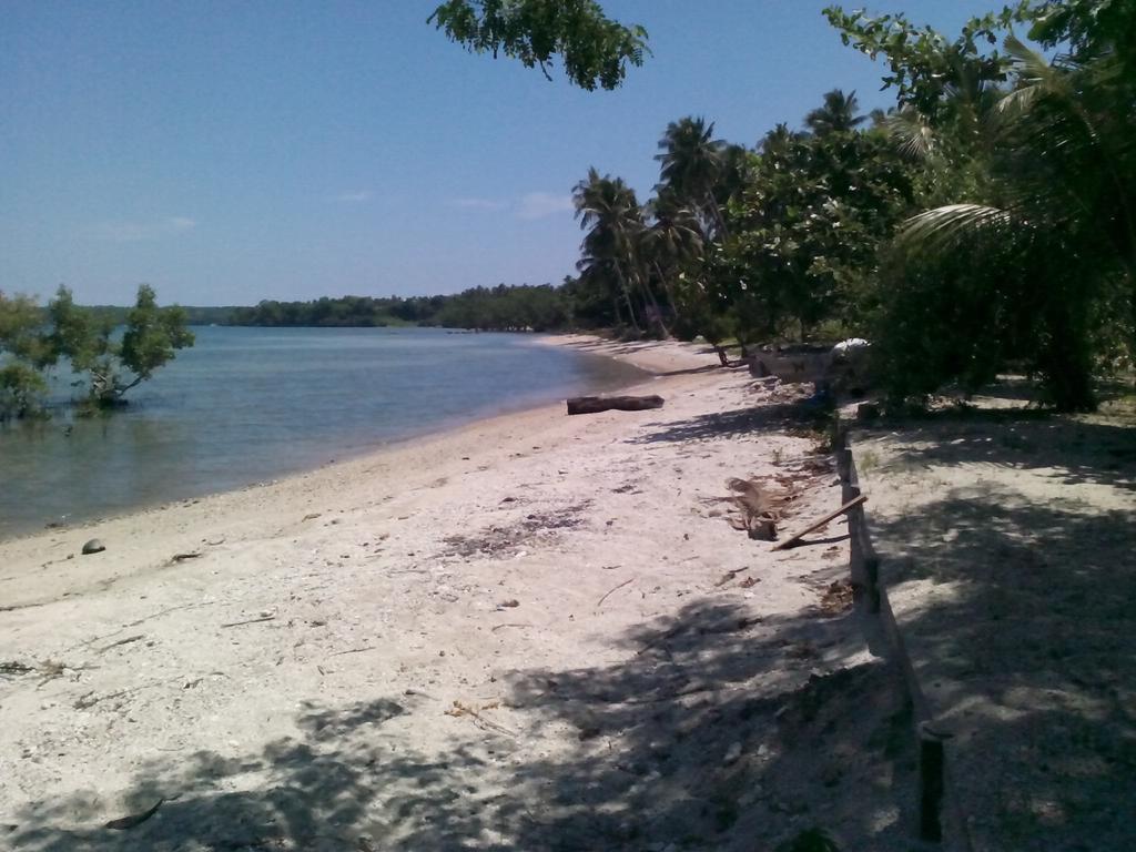 Buco Beach Resort Siquijor Extérieur photo